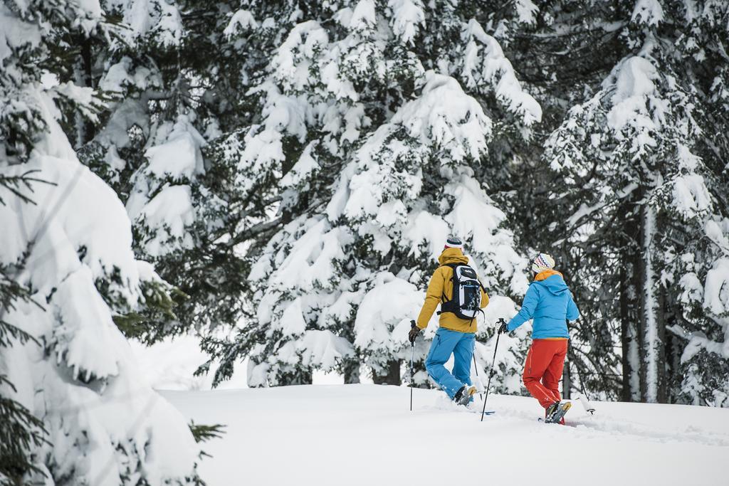 Alpenpension Pfurtscheller Neustift im Stubaital Bagian luar foto